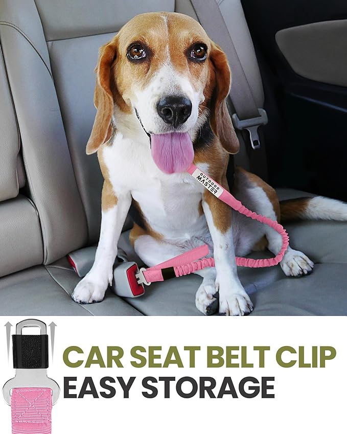 OutdoorMaster Bungee Dog Leash, Heavy Duty Dog Leash with Shock Absorption, 2 Padded Handles Training Leash, Improved Dog Safety and Comfort - Pink Upgraded, 6 FT