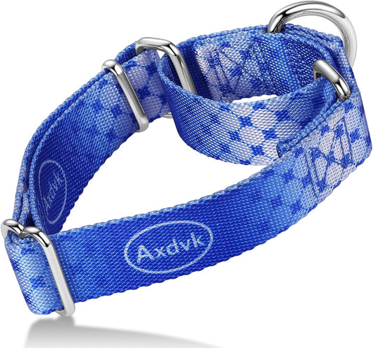 Martingale Dog Collar Colorful Gradient Fashionable - Anti-Escape Soft Durable Pets Collar for Walking Training Outdoor Daily Use -Small,Blue Ocean