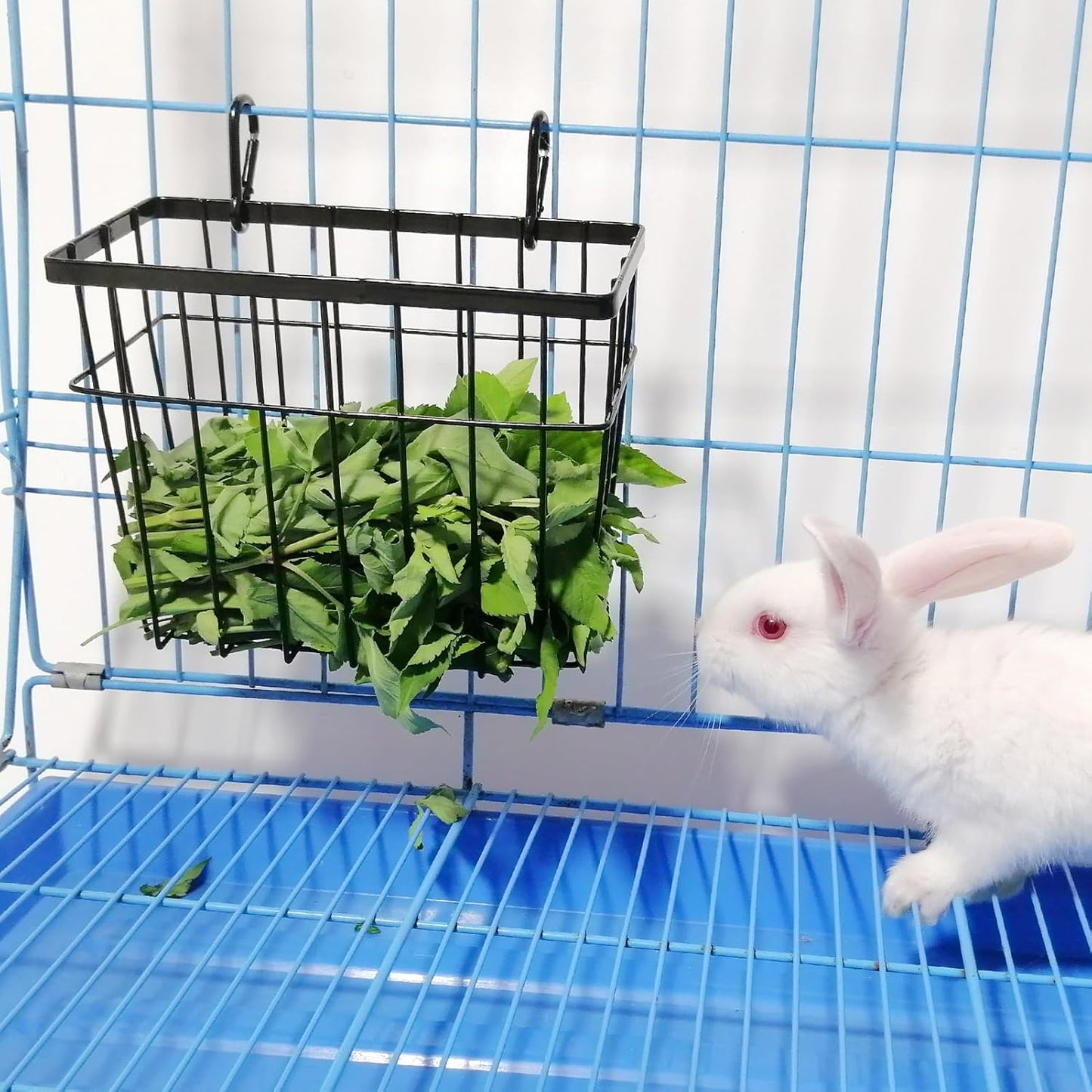 Rabbit hay Feeder Sangle Sopffy 2PCS, Guinea Pig hay Feeder with Metal Frame for Guinea Pig Chinchilla Bunny, Chinchilla cage Accessories (Black-1)