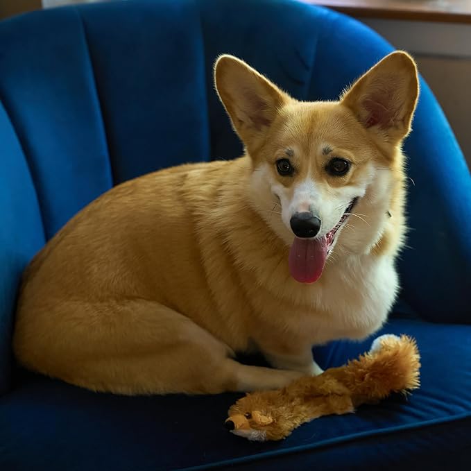 SPOT Skinneeez Fox – 14" Stuffing-Free Plush Squeaky Dog Toy for Small & Medium Dogs, Best for Light to Moderate Chewers, Mess-Free Play
