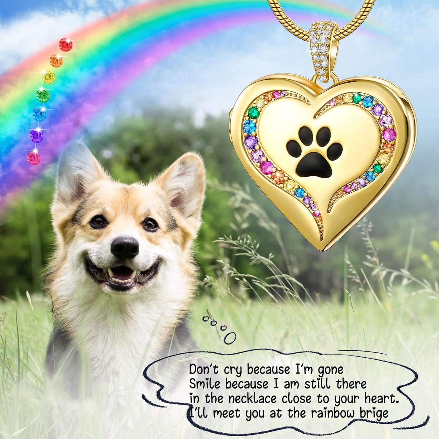 Fanery Sue Personalized Customized Pet Locket Necklace, Heart Lockets Picture Necklaces Dog Memorial Gifts Cat Sympathy for Women Men