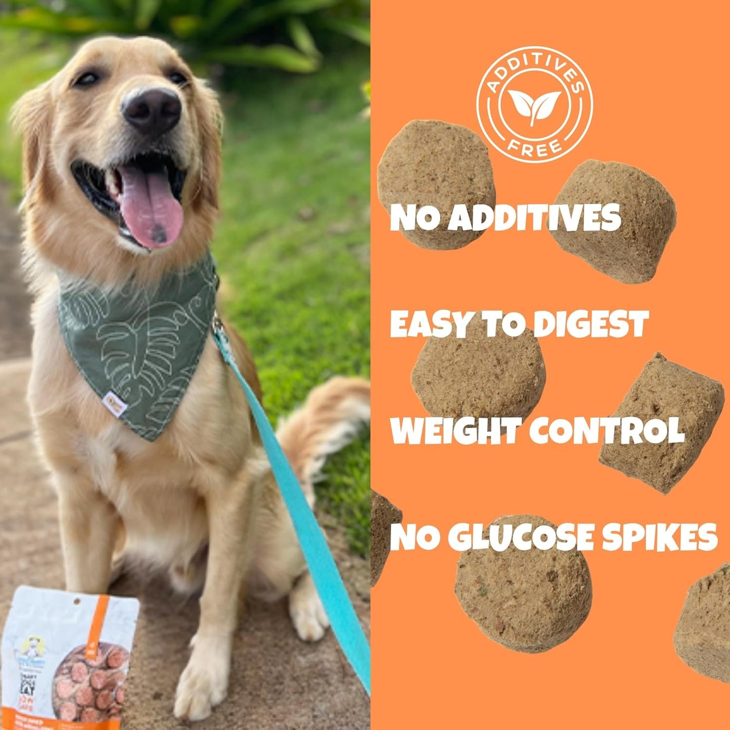 Visionary Pet Foods Chicken Freeze Dried Dog Treats - 155x Medallions Keto and Diabetic Friendly - Additive Free, Made in USA Low Carb, High Protein - Healthy Dog Training Treats, Resealable Bag