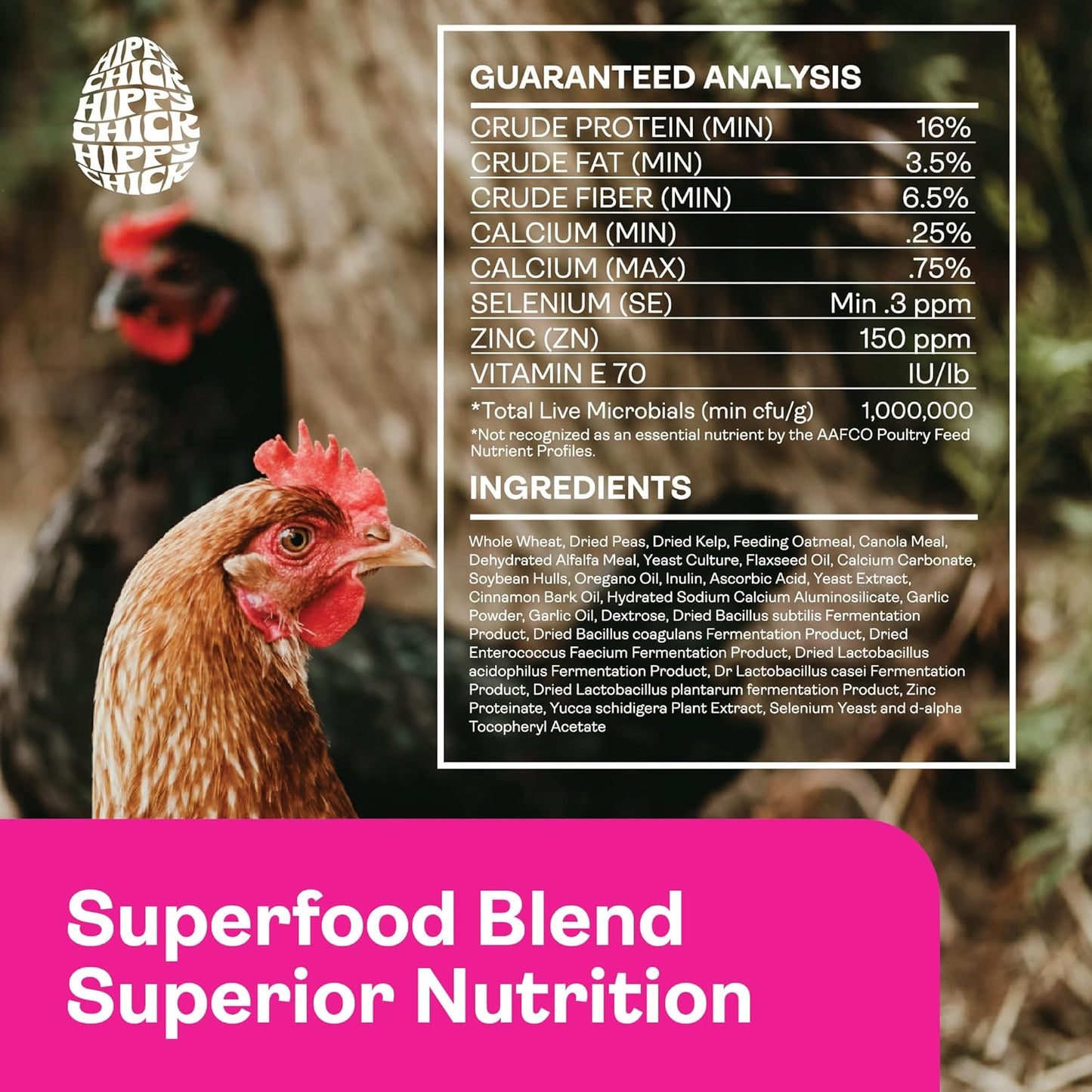 Immuni-Guard 1.5 lb - Chicken Preventative Care & Stress Guard- Chick & Adult Bird Health- Essential Oils Oregano & Garlic- Poultry Feed Supplement; Probiotics & Prebiotics (1.5 LB)