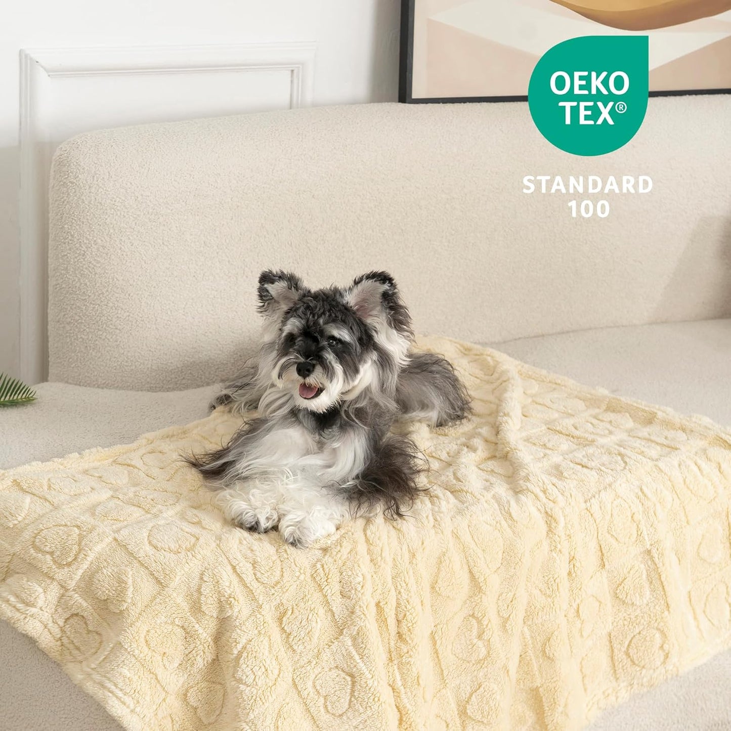 gogobunny Calming Plush Dog Cat Blanket 300GSM Coral Fleece, Ultra-Soft Machine Washable Pet Bedding for Small Medium Dogs Cats Puppies Kittens (Beige, 50x60)