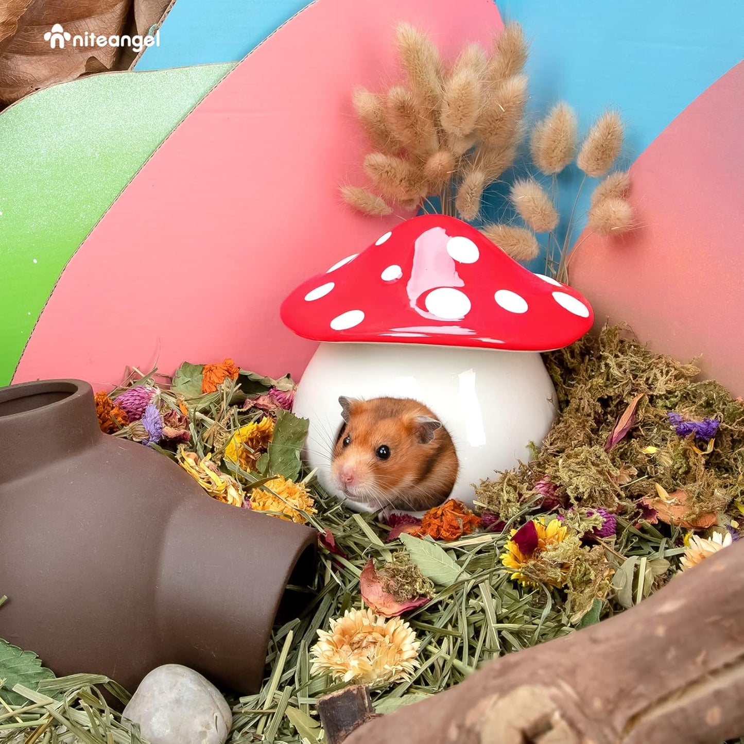 Niteangel Ceramic Hamster Habitat Hideout: - Hideaway House for Syrian Dwarf Hamster Mice Gerbils Lemmings or Other Similar-Sized Small Pet (Mushroom-Shaped)