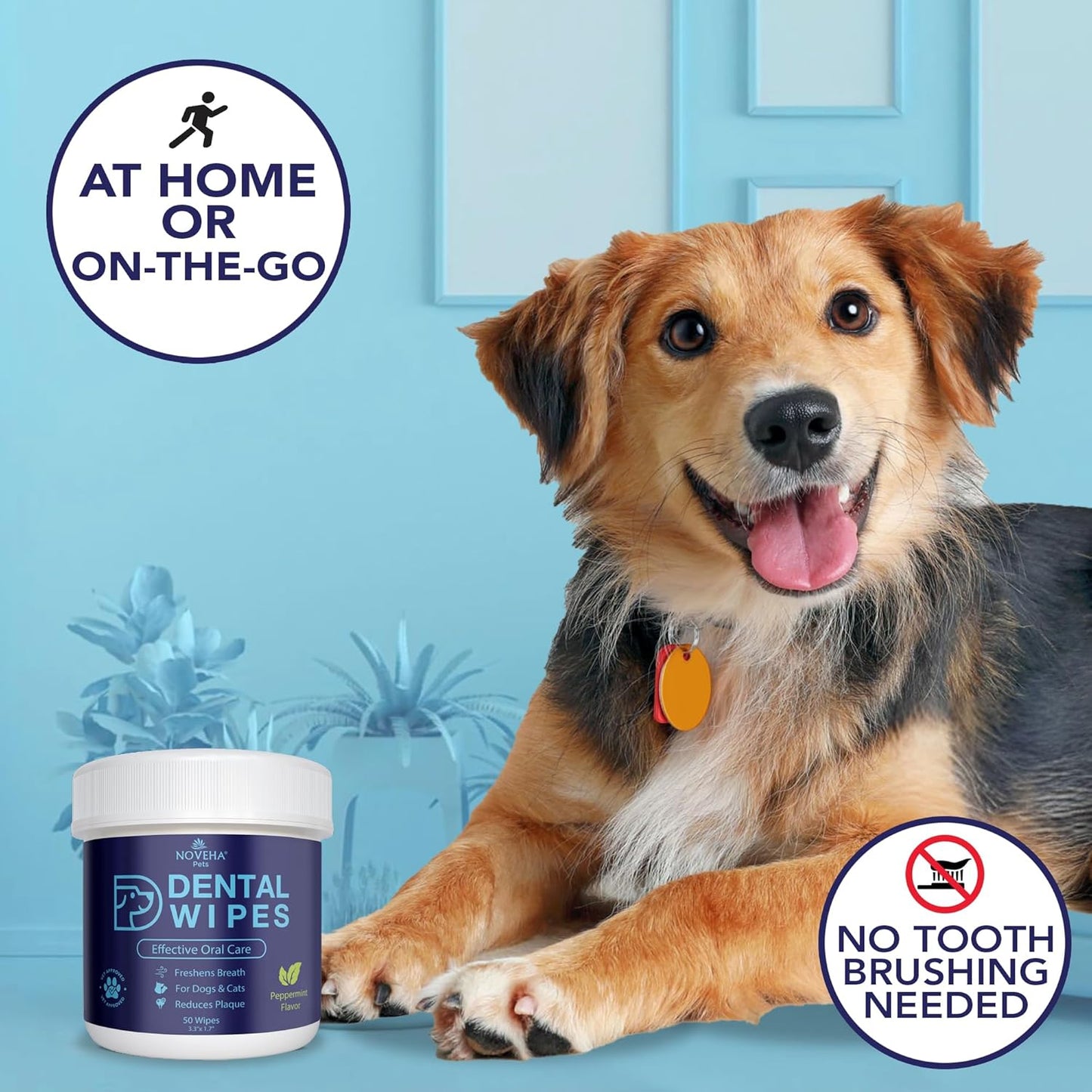 NOVEHA 100PCs Pets Dental Finger Wipes for Dogs & Cats | Freshens Breath, Reduces Plaque | Healthier Gums | Clean Teeth No Toothbrush | Vet Recommended Effective Natural Oral Care | Mint Flavor