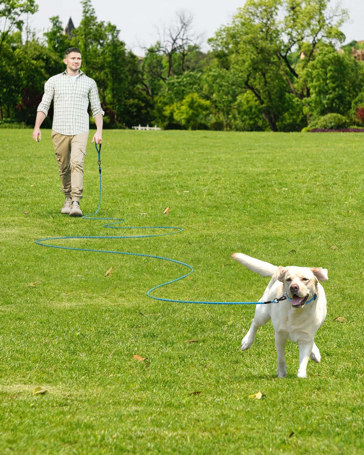 Joytale Long Leash for Dog with Removable Padded Handle, Heavy Duty Lead for Large Medium Dogs,15FT/30FT/50FT/65FT Reflective Training Leash for Play, Camping, Backyard Tie Out, Blue, 50FT
