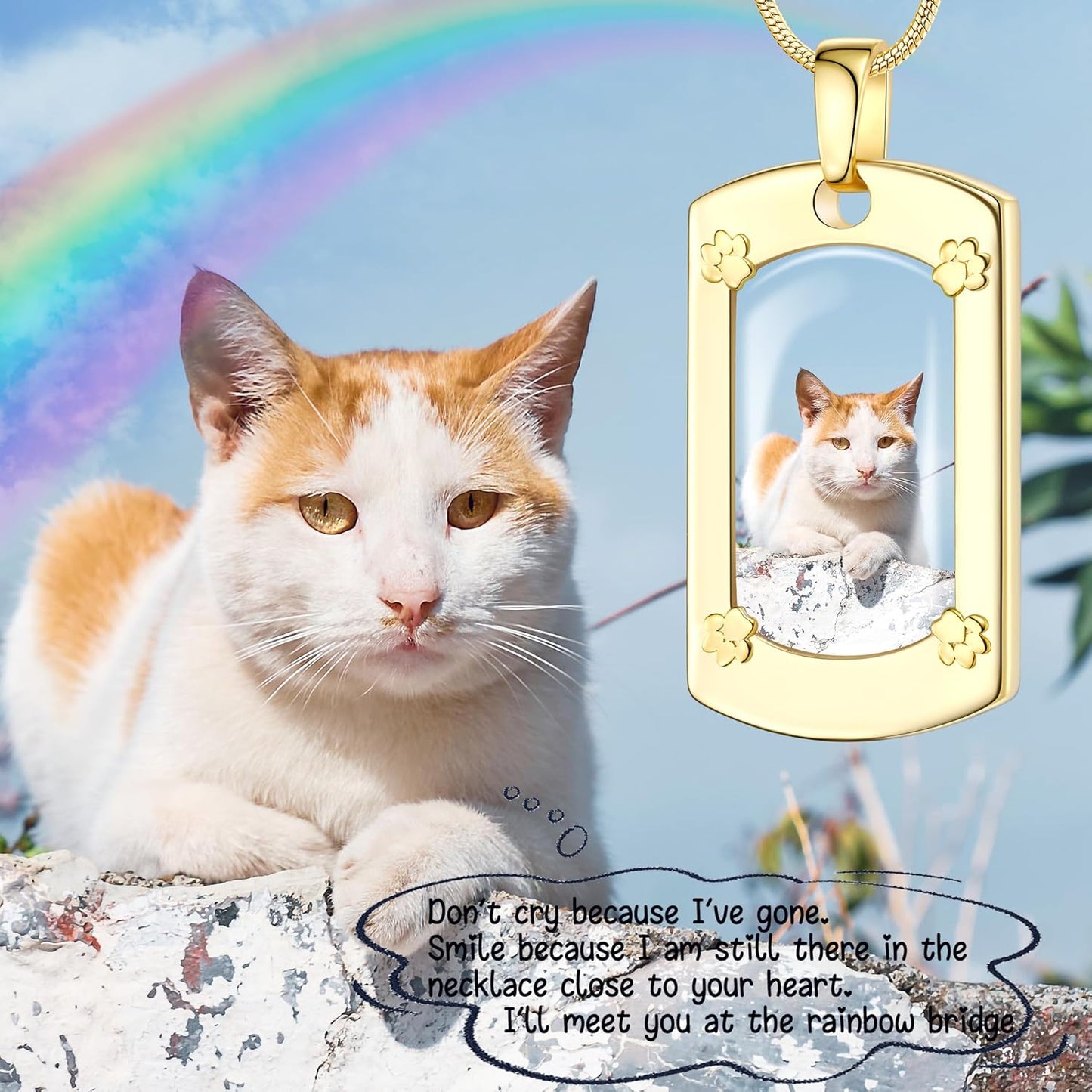 Fanery Sue Personalized Pet Ashes Necklace for Dog Cat Custom Photo&Text Pet Loss Sympathy Gift Cremation Jewelry