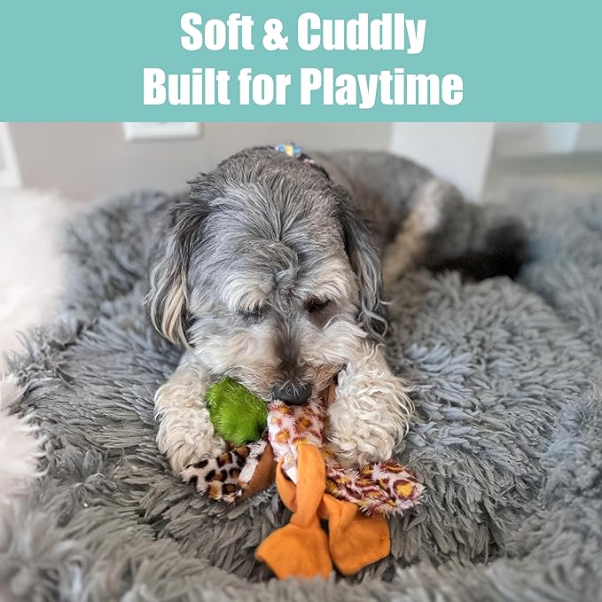 SPOT Skinneeez Mini Mallard Duck 13 Inch Stuffing-Free Plush Squeaky Dog Toy – Soft Interactive Toy for Small and Medium Dogs – Mess-Free Play for Light & Moderate Chewers – Assorted Styles