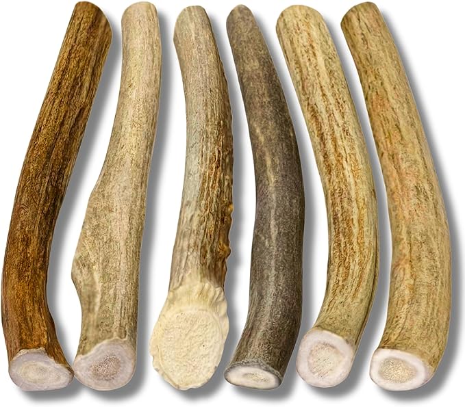 WhiteTail Naturals - Antlers for Small Dogs (6 Pack) Deer Antler Dog Chew Bones for Small Aggressive Chewers - Long Lasting Horn Chew Toys - Naturally Shed