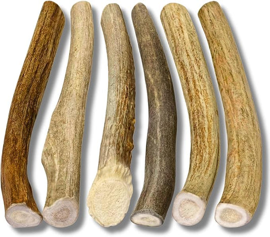 WhiteTail Naturals - Antlers for Small Dogs (6 Pack) Deer Antler Dog Chew Bones for Small Aggressive Chewers - Long Lasting Horn Chew Toys - Naturally Shed
