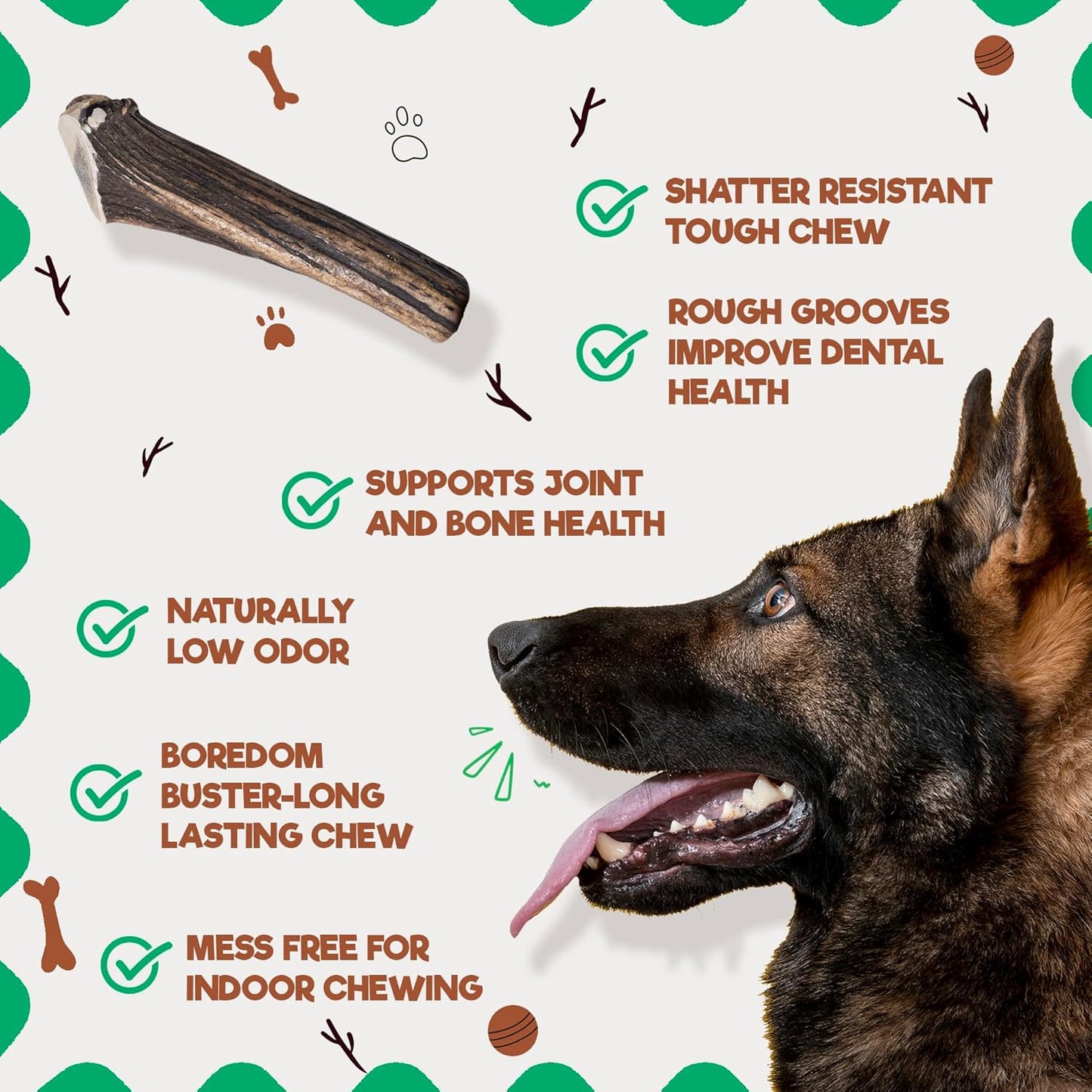 Jack&Pup Whole Elk Antlers for Dogs Large | Naturally Shed Rawhide Free Dog Chews Long Lasting Elk Horns for Dogs | Dog Antlers for Aggressive Chewers (1 Small Antler)