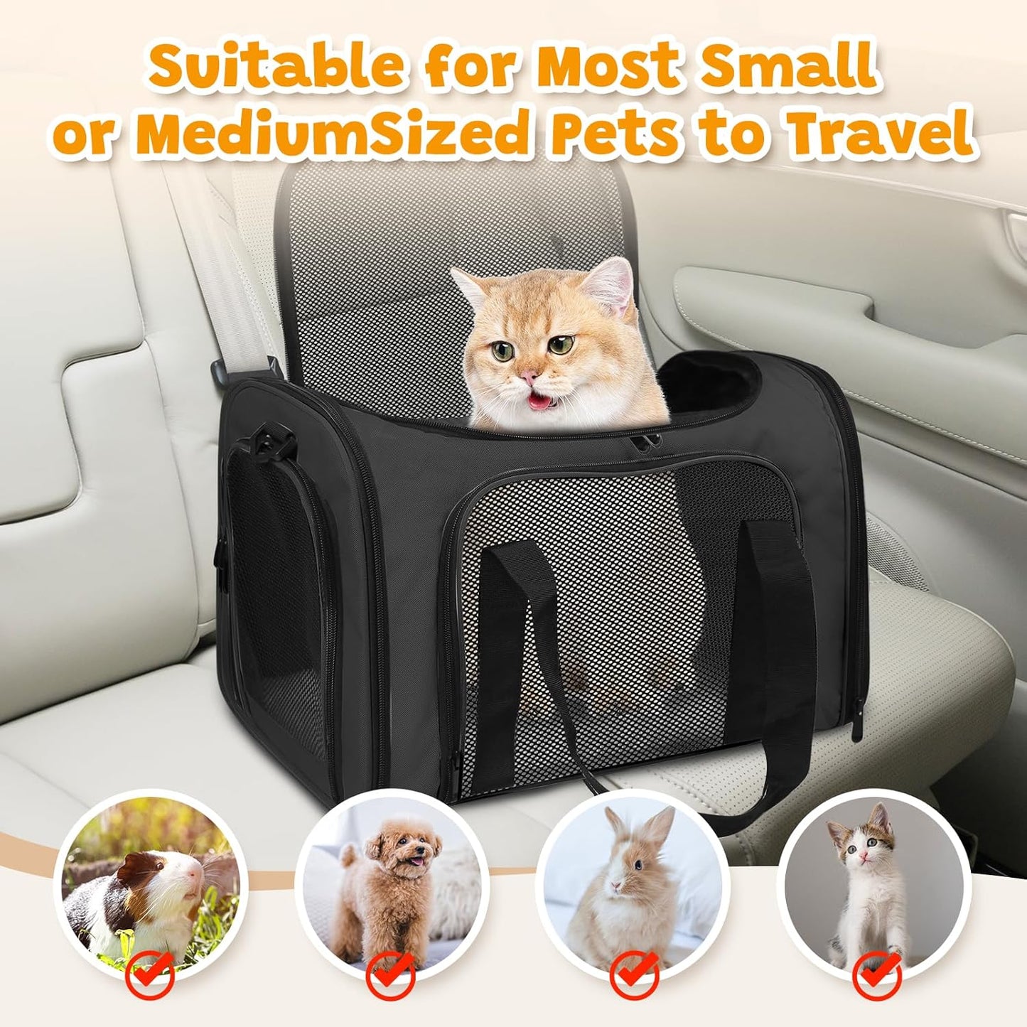 Airline Approved Pet Carrier for Cats & Small Dogs – Soft Sided Travel Bag 17"x11"x11", Portable Collapsible Under Seat Pet Carrier with Mesh Windows & Shoulder Strap, Black