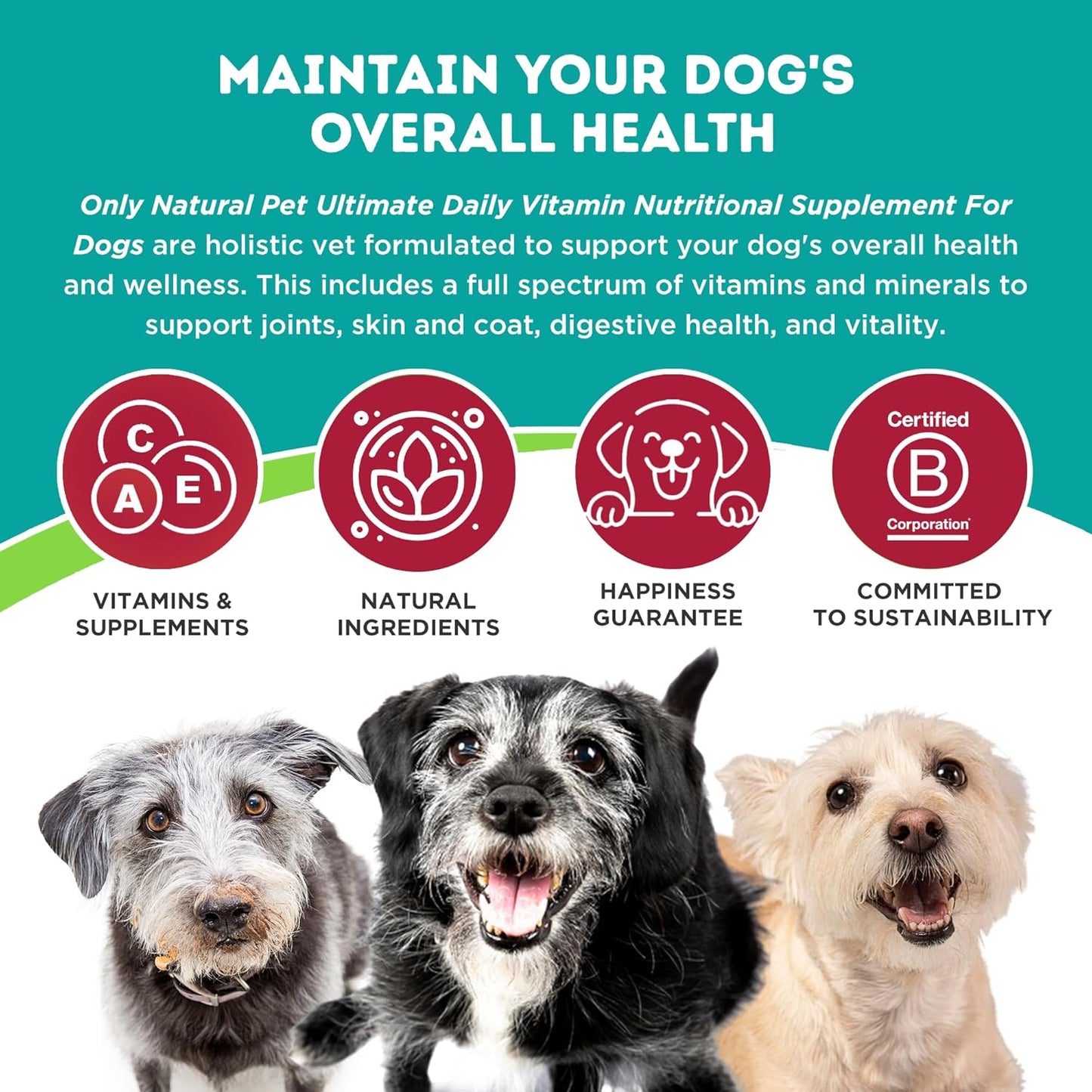 Only Natural Pet Ultimate Daily Vitamins - Complete Multivitamin Supplement for Dogs Balanced Health & Vitality - Senior Small & Large Canine Food Immune Digestive Support -180 Soft Chews Tablets