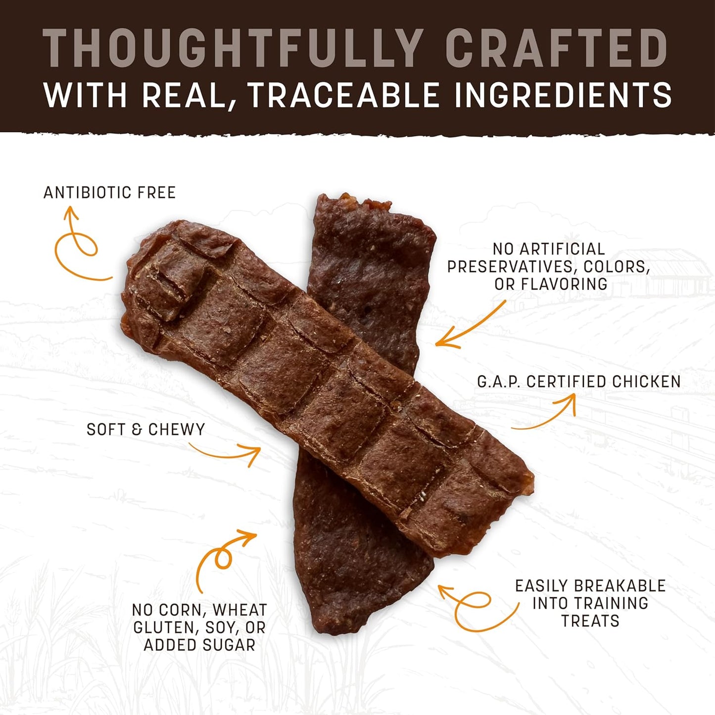 Earth Animal Wisdom Air-Dried Jerky Chicken Recipe | Dog Treats | Dog Snacks | Premium Natural Chicken Jerky Strips | 4 oz | Made in The USA (Pack of 3)