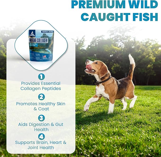 Wild Caught Marine Pet Collagen for Dogs, Peptide for Dogs - Improves Gut, Skin & Coat Health, Allergies, Pet Mobility Hip & Joint Supplement Health