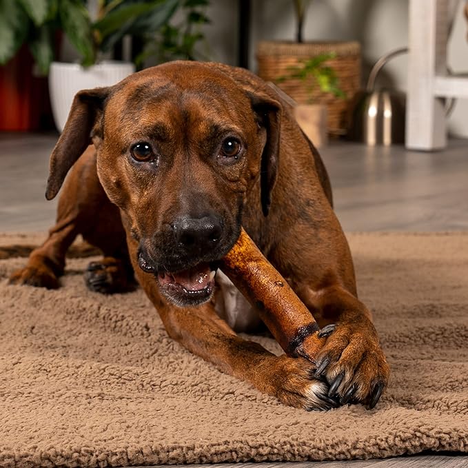 Pet Factory 100% Made in USA Beefhide 8" Rolls Dog Chew Treats - Beef Flavor, 15 Count/2 Pack