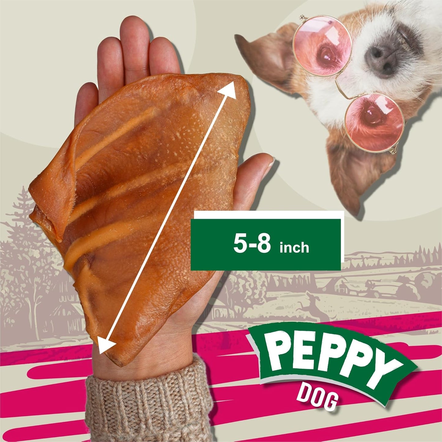 Full Pig Ears for Dogs (25 Count, 2.3 lb) | Natural Single Ingredient Dog Treats | Rawhide Alternative | Healthy Chews by Gnaws