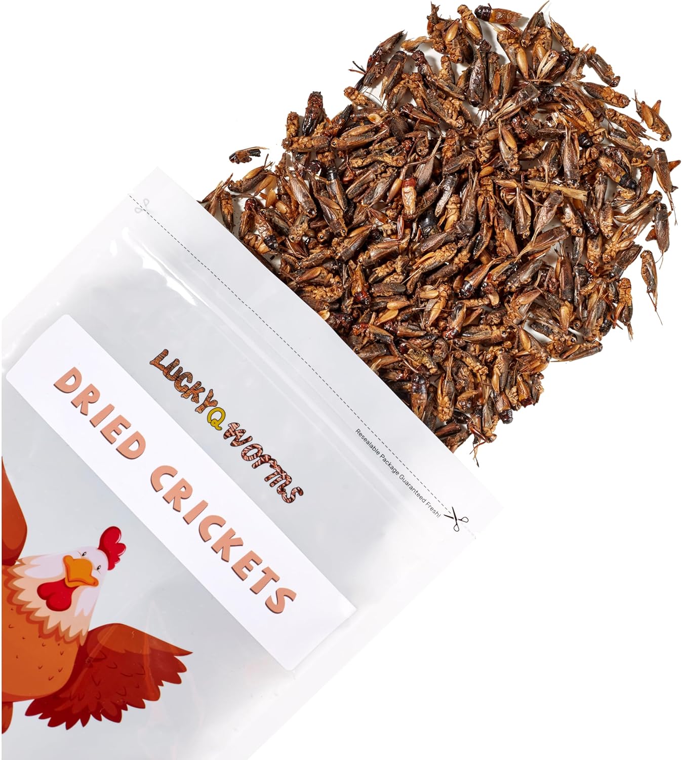Dried Crickets 1 lb for Chickens, Wild Birds, Hedgehogs, Reptiles, Lizards, Bearded Dragons, Fish, Turtles - High Protein Natural Insect Food Resealable Bag