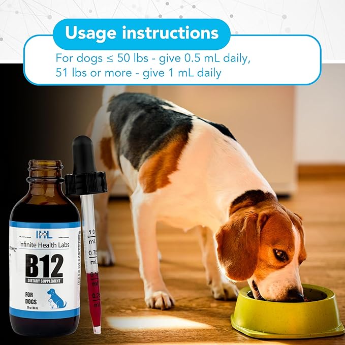 Liquid Vitamin B-12 for Dogs - Methylcobalamin Supplement for Pets - Dog Vitamins for Medium & Large Breed - Pet Vitamins and Supplements - Dog Multivitamins