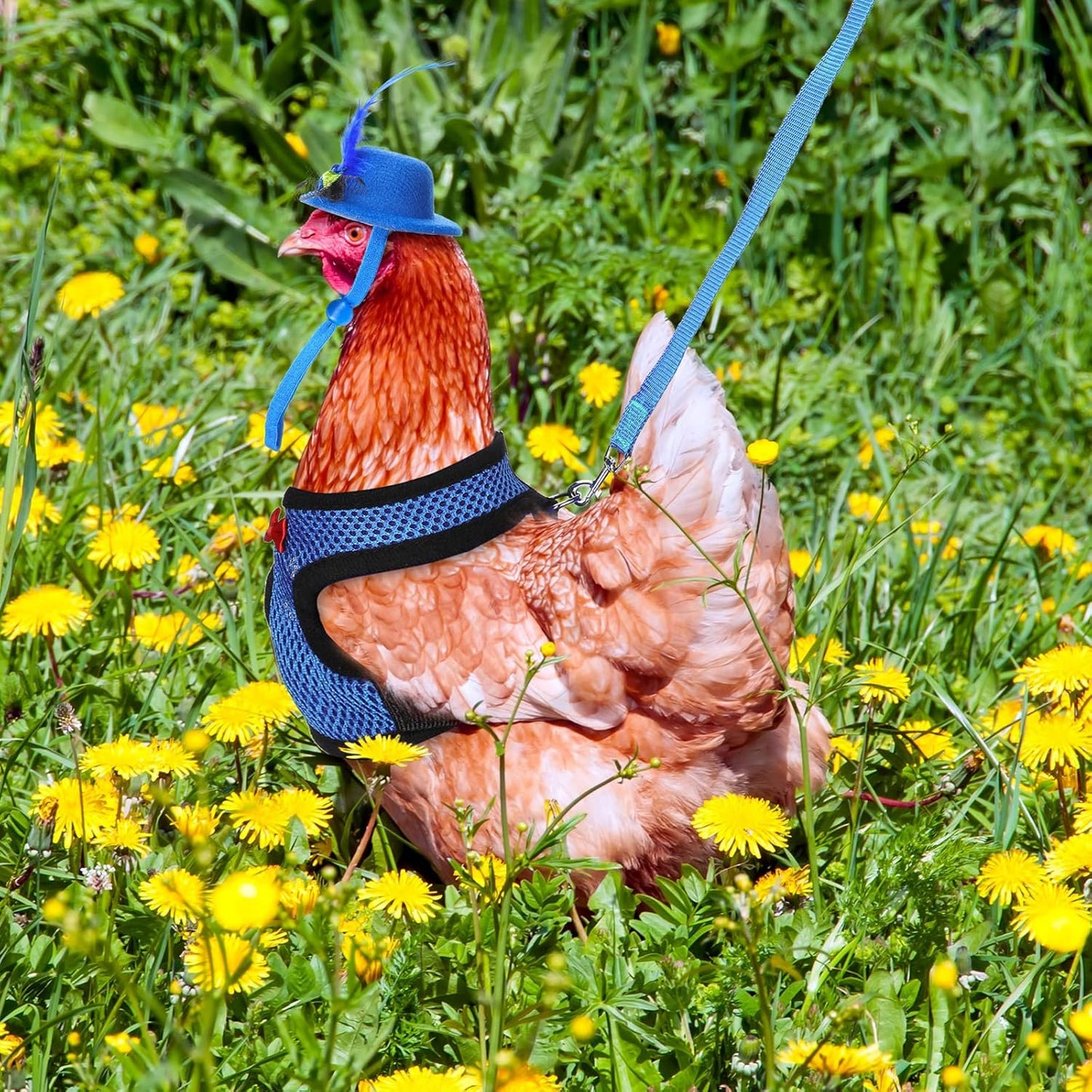 9 Pcs Funny Chicken Accessories Set - Harness, Leash & Hats for Hens, Ducks, Geese & Parrots - Adjustable, Training Walking Supplies