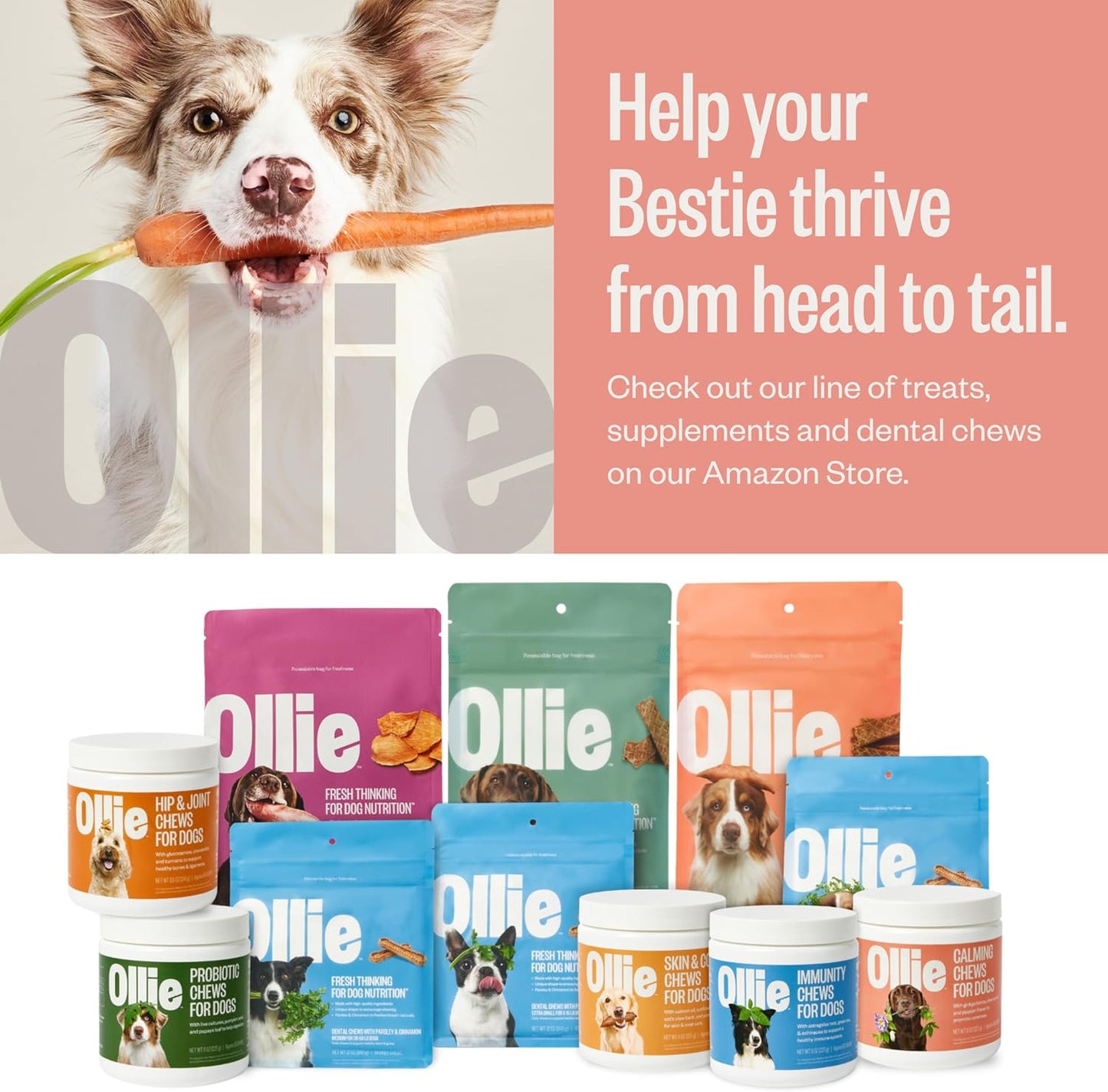 Ollie Beef & Sweet Potato Jerky Dog Treats, 5 oz Pack of 1, All Natural, Healthy Snacks, Made with Real Meat, Human Grade, for Dogs