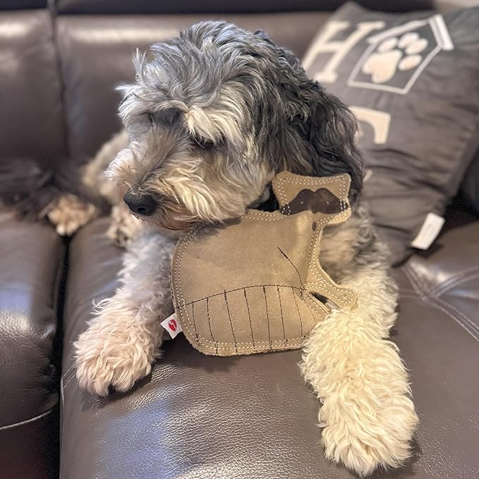 SPOT Dura-Fused Leather Raccoon Dog Toy – Real Leather & Jute Fabric, Double-Stitched & Durable, Squeaky Interactive Chew Toy for Moderate Chewers, Small & Medium Dogs, Soft Stuffed Fetch Toy, 7.25in