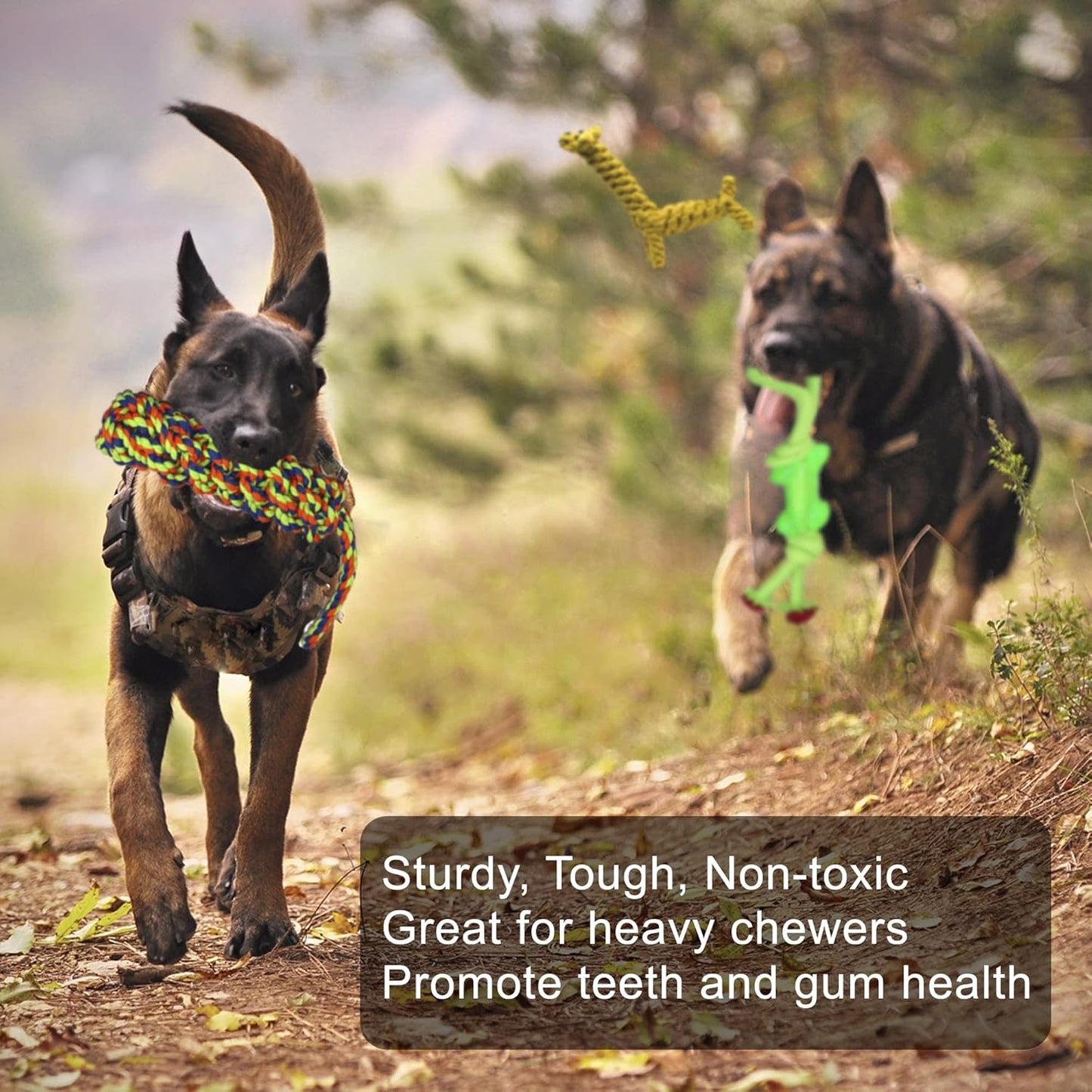 Jalousie 14 Pack Puppy Chew Dog Rope Toy Assortment for Small Medium Large Breeds