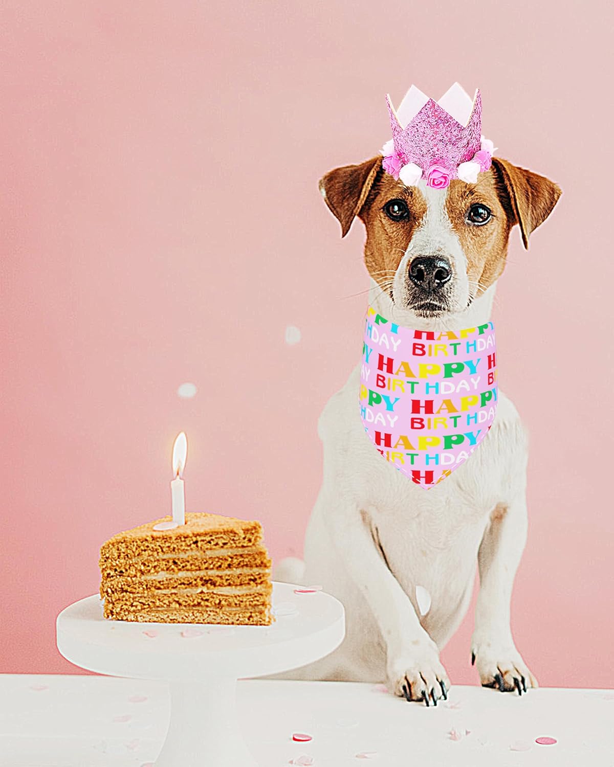 PET SHOW Pink Crown Hat Dog Birthday Party Supplies for Girls Female Pets Small Medium Large Dogs Cats Birthday Hat and Plaid Bandana with 0-9 Numbers and Glue