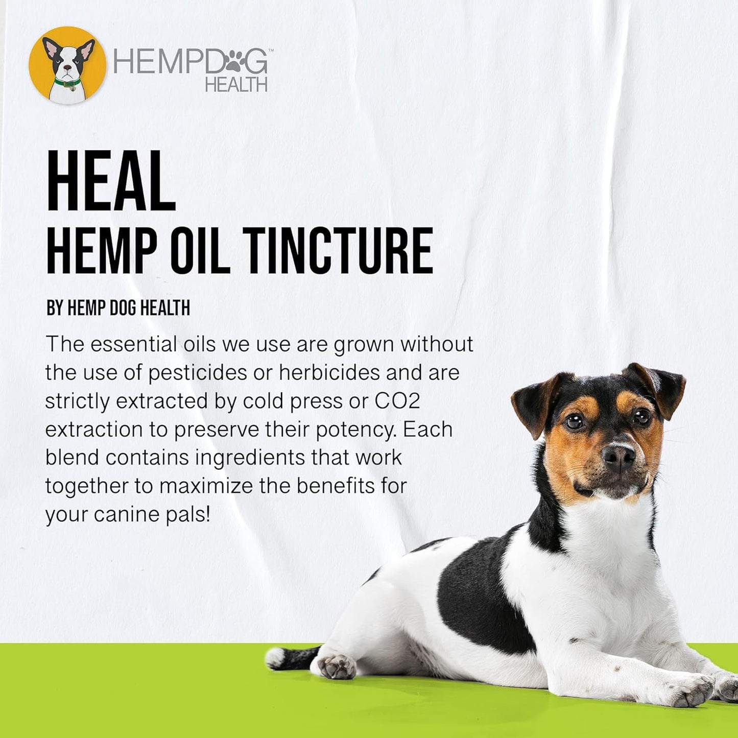 HEAL - Pet Hemp Oil for Dogs - Immune System & Senior Dog Support - Neurological & Adrenal Balance - Daily Wellness Drops