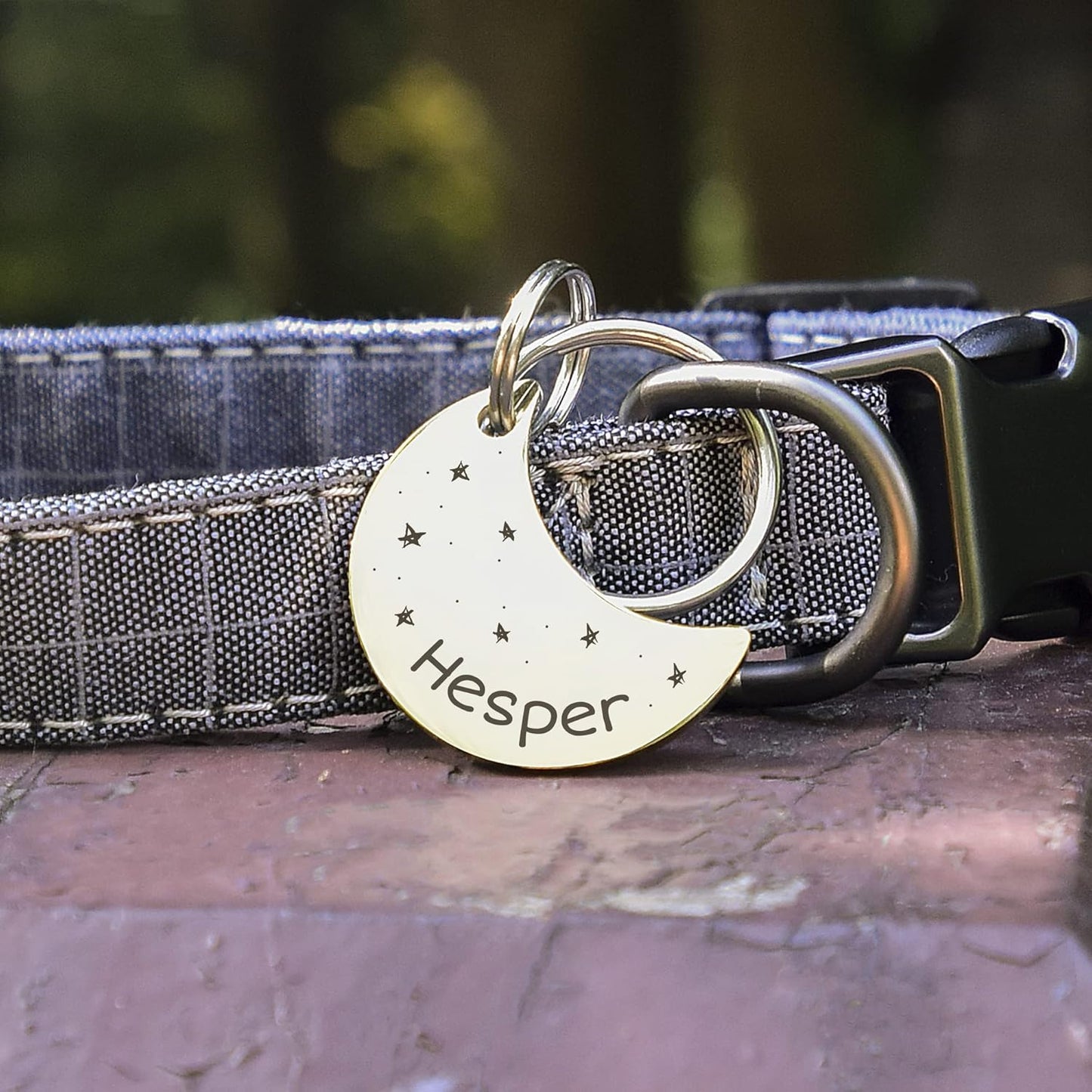 Anavia Small Size Dog Cat ID Tags, Small/XS Personalized Color Plated Stainless Steel Puppy Kitten Name Tags, Customized Engraved Nameplate Pet Collar Tag (Black, Moon)