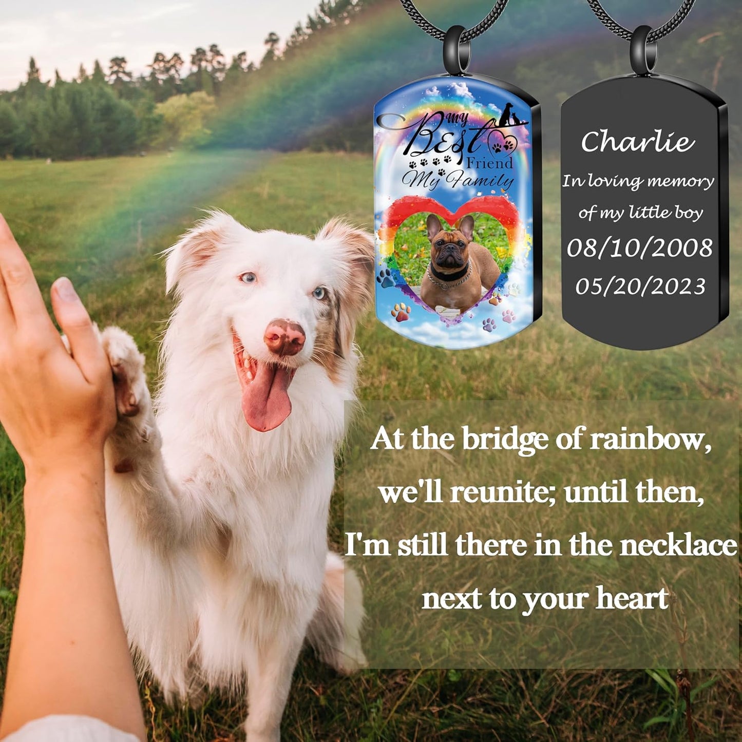 Fanery Sue Personalized Pet Ashes Necklace for Dog Cat Custom Photo&Text Pet Loss Sympathy Gift Cremation Jewelry