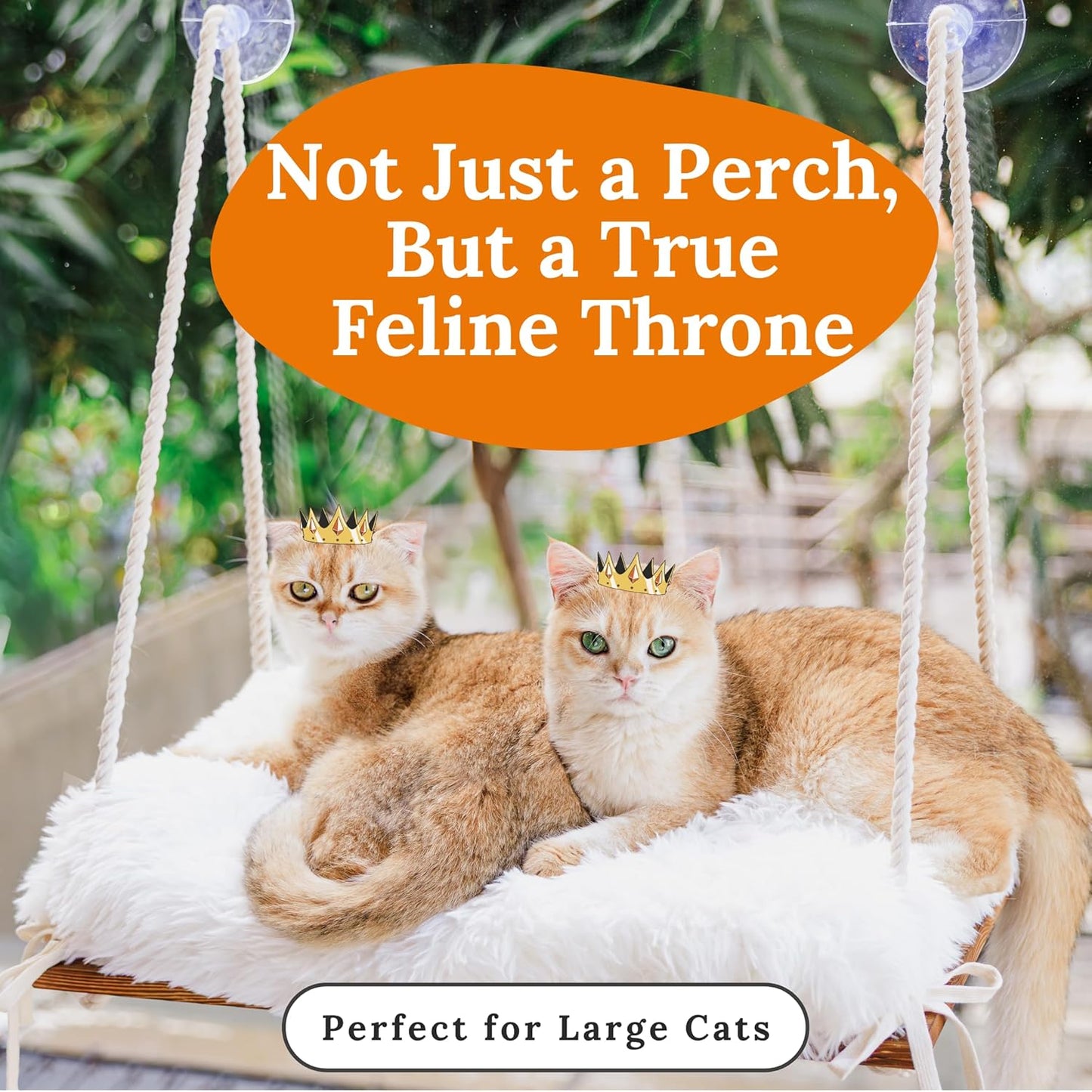 Cat Window Perch for Large Cats - Hammock Bed for Heavy Indoor Cats - Solid Wood Seat, 5 Strong Suction Cups, Soft Cushion - Rustic Shelf for Pets Inside