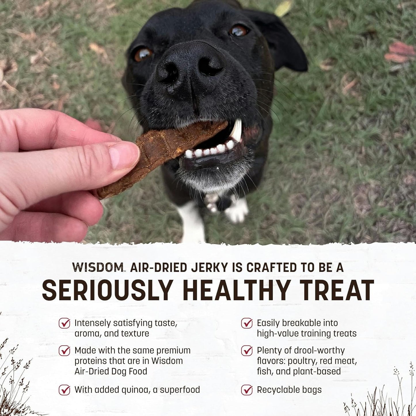 Earth Animal Wisdom Air-Dried Jerky From the Land Recipe | Dog Treats | Dog Snacks | Premium Natural Red Meat Jerky Strips | 4 oz | Made in the USA (Pack of 1)
