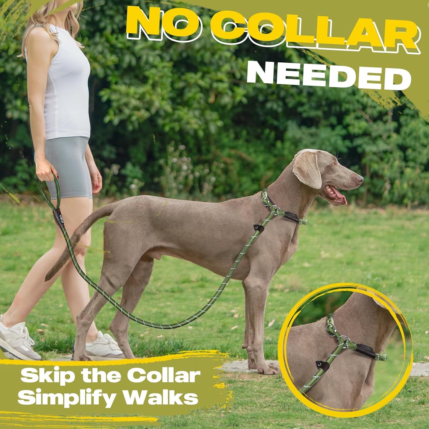 Fida Durable Slip Lead Dog Leash Bulk Pack of 5, Heavy Duty 1/2" x 6 FT Comfortable Strong Rope Slip Lead for Large, Medium & Small Dogs No Pulling Pet Training Leash with Highly Reflective (Green)