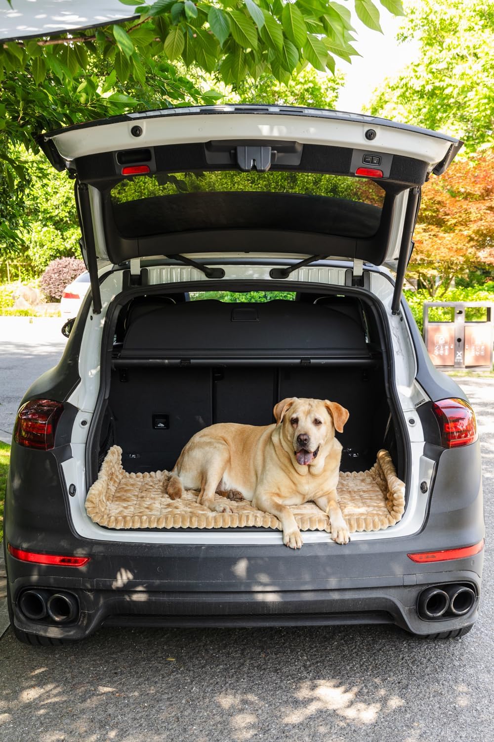 Non-Slip Dog Bed Mat for Car, Fuzzy Backseat Pet Mat, Travel Pet-Friendly Seat Cover for Cars, Compatible with Backseat Extenders and Seat Protectors 24.8x54 inch