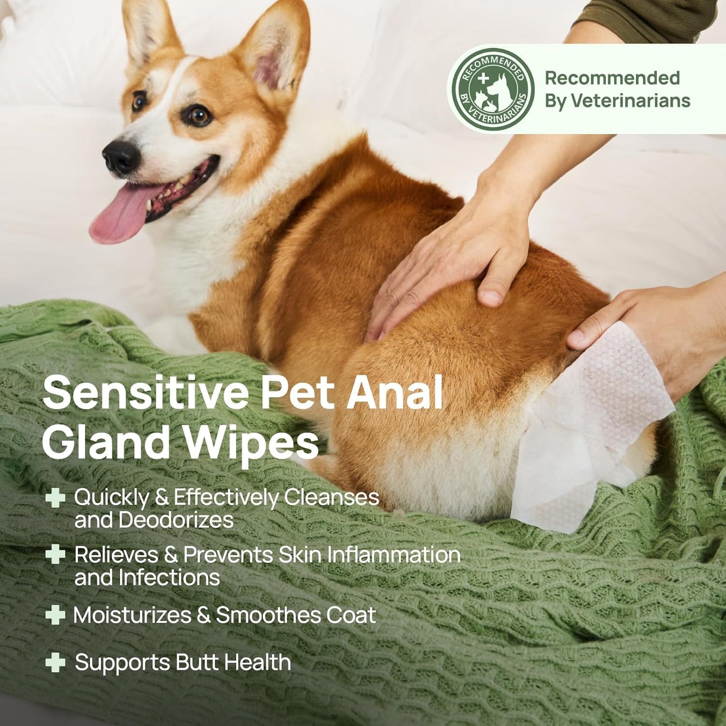 HICC PET Wipes for Dogs & Cats, Vet Recommended Cleansing Deodorizing & Soothing Allergy Infections Anal Gland Wipes with Coconut Oil, Dog Wipes for Cleaning Butt Paw, Remove Small Animal Coat Stain