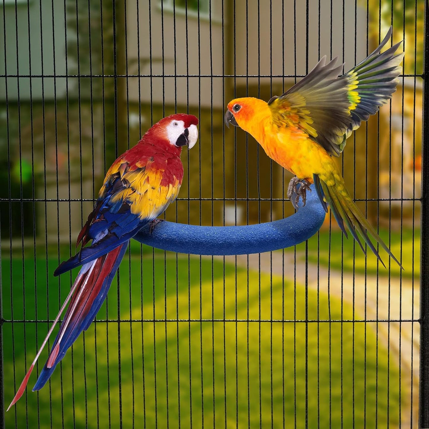 U Shape Parrot Perch Stand Toy Bird Platform Sand Paw Grinding Clean Stick Exercise Conure Budgie Cockatiel Cage Accessories (Small-Blue)