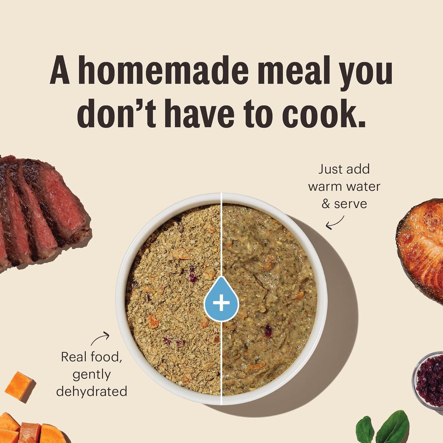 The Honest Kitchen Wholemade™ Whole Grain Beef & Oat Dog Food, 1.5 oz x10