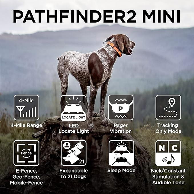 Dogtra Pathfinder 2 Mini GPS Dog Tracker e Collar 4 Mile Long Range LED Light No Monthly Fees Free App Waterproof Smartwatch Control Based Real Time Tracking Multiple Dogs Smartphone Required
