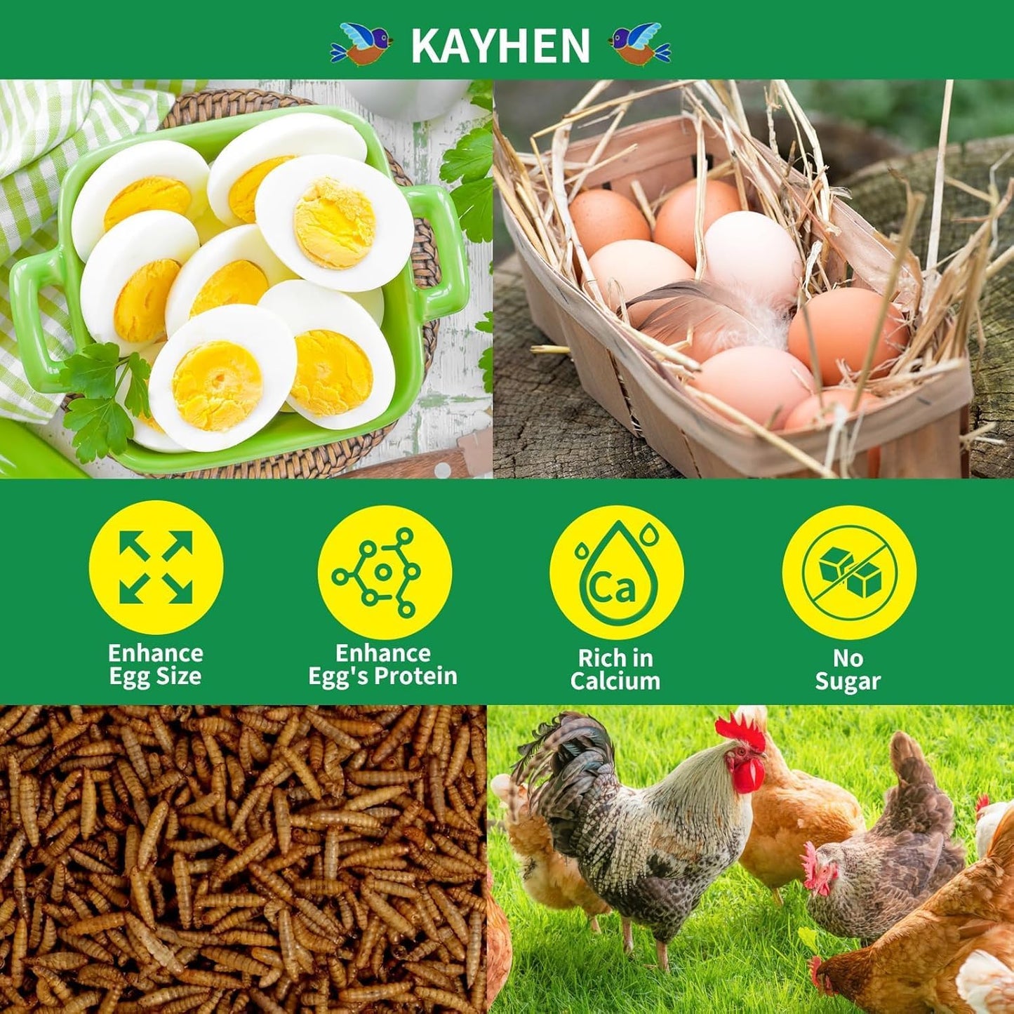 KAYHEN Dried Black Soldier Fly Larvae 10LB Non-GMO BSF Larvae for Chickens More Calcium Than Mealworms High-Protein Chickens Treats for Layer Hens Wild Birds Ducks
