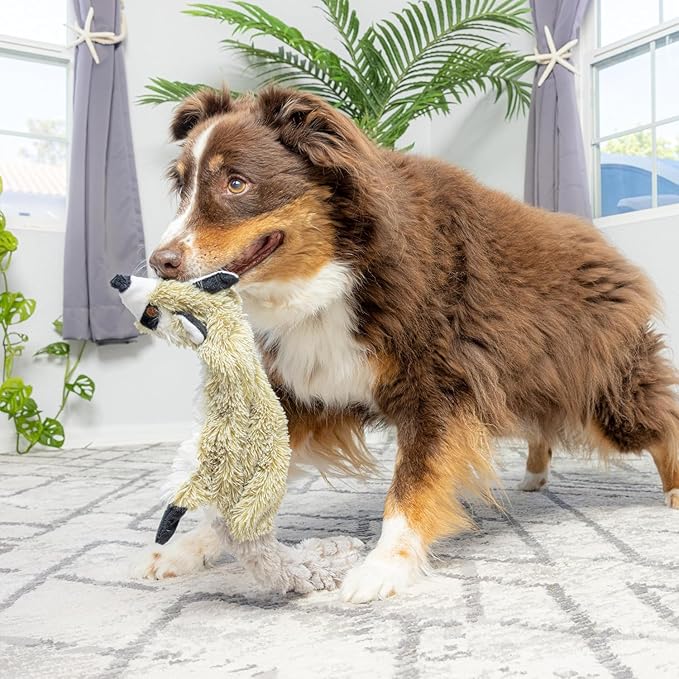 SPOT Skinneeez Raccoon 23 Inch Stuffing-Free Dog Toy – Soft Plush Tug Toy with Two Squeakers for Medium and Large Dogs – Mess-Free Interactive Chew Toy