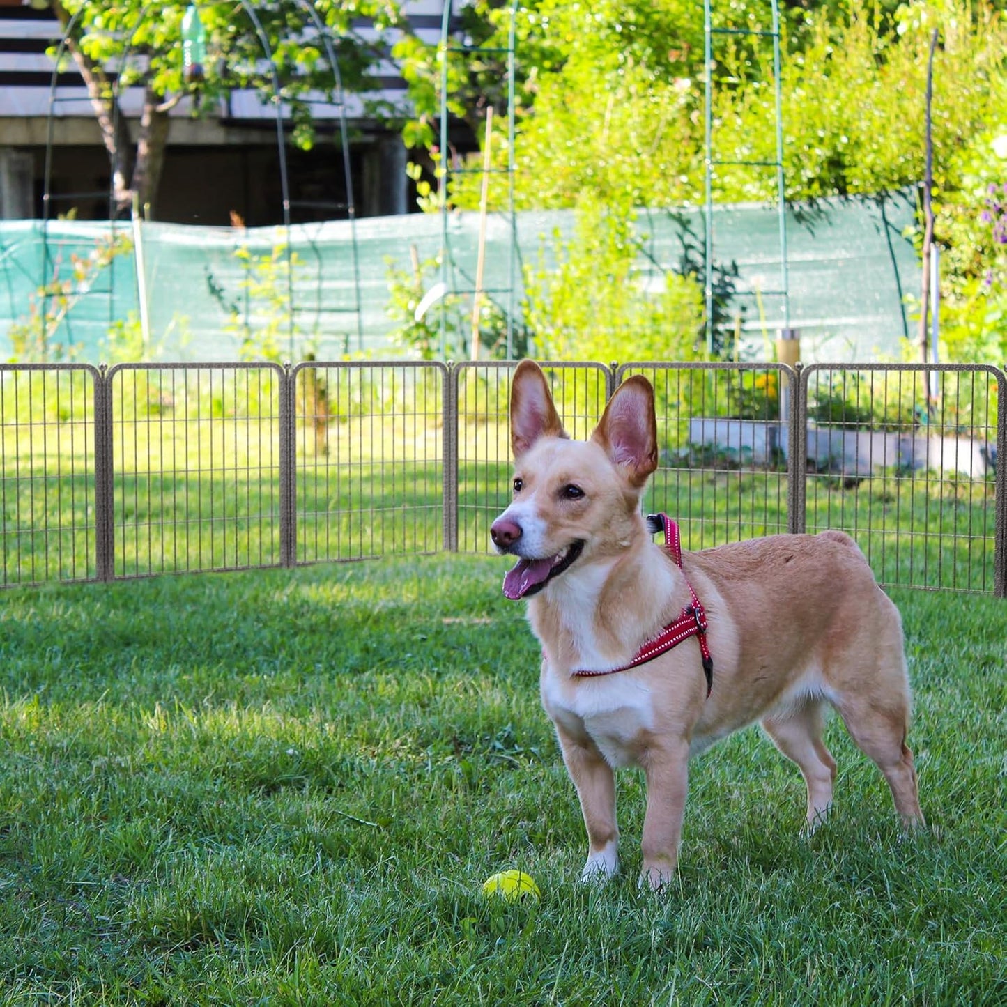 FXW Aster Dog Playpen Designed for Yard, 32inch 8 Panels