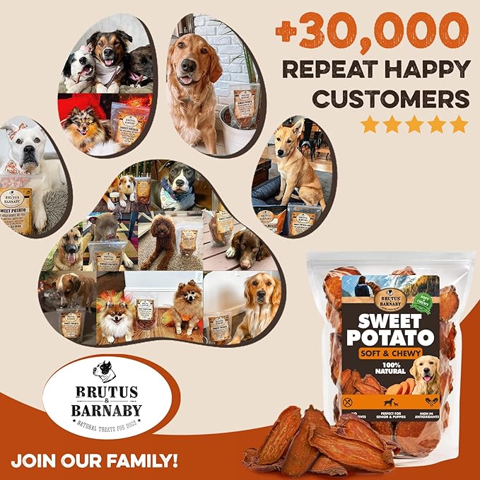 Sweet Potato Slices For Dogs - Soft & Chewy - Single Ingredient Dog Treats, Healthy 100% Natural Sweet Potato Dog Treats With No Added Preservatives - Softer & Great For Puppies Or Senior Dogs (5lb)