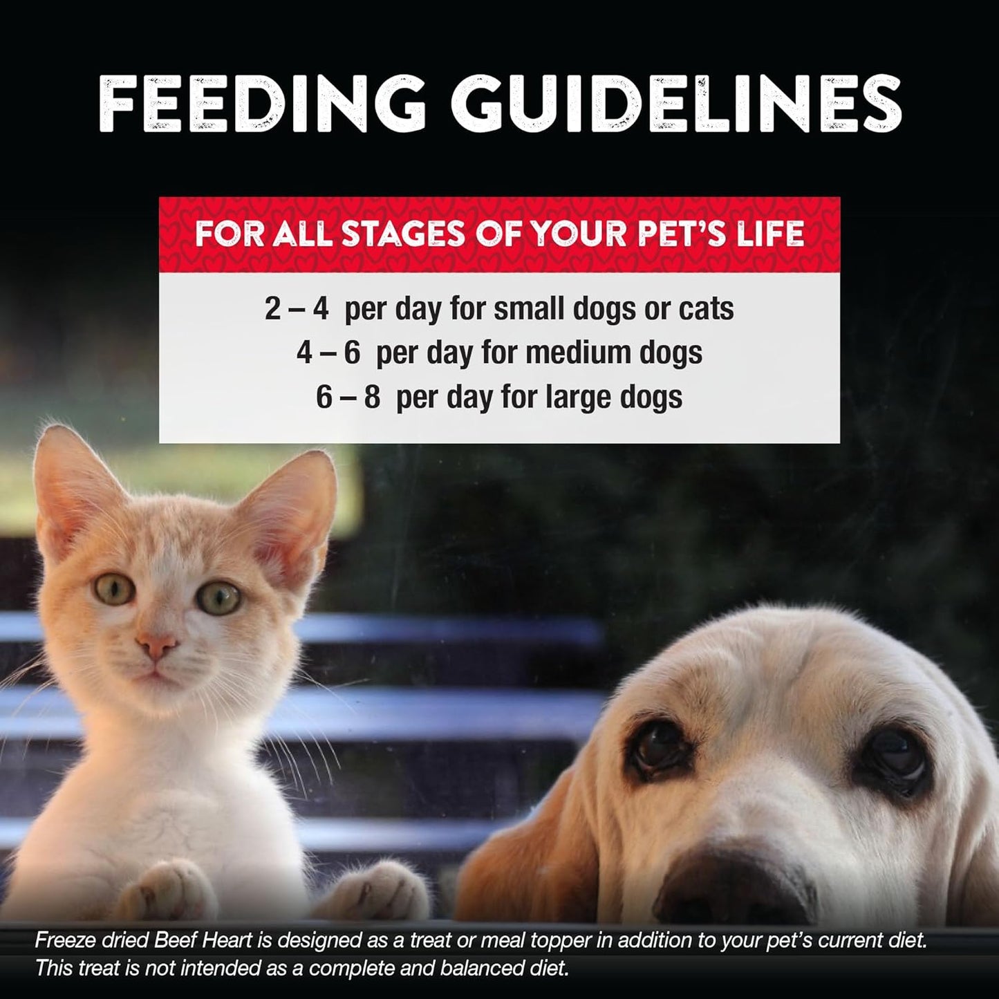 Northwest Naturals Raw Rewards Freeze-Dried Beef Heart Treats for Dogs and Cats - Bite-Sized Pieces - Healthy, 1 Ingredient, Human Grade Pet Food, All Natural, Proudly Made in USA, 10 Oz