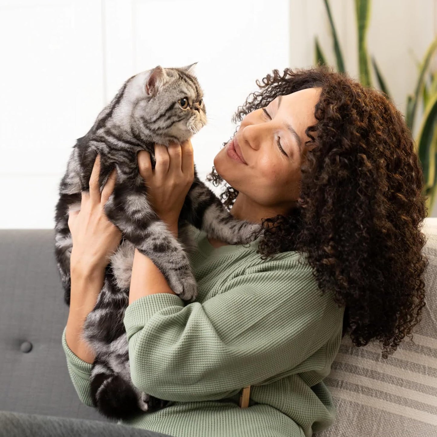 Open Farm, Kitty Cubes, Freeze Dried Raw Cat Treats, Grain-Free, High-Protein Cat Treat with Probiotics, Omega Fatty Acids & Superfoods, Chicken & Turkey Recipe, 1.5oz Bag