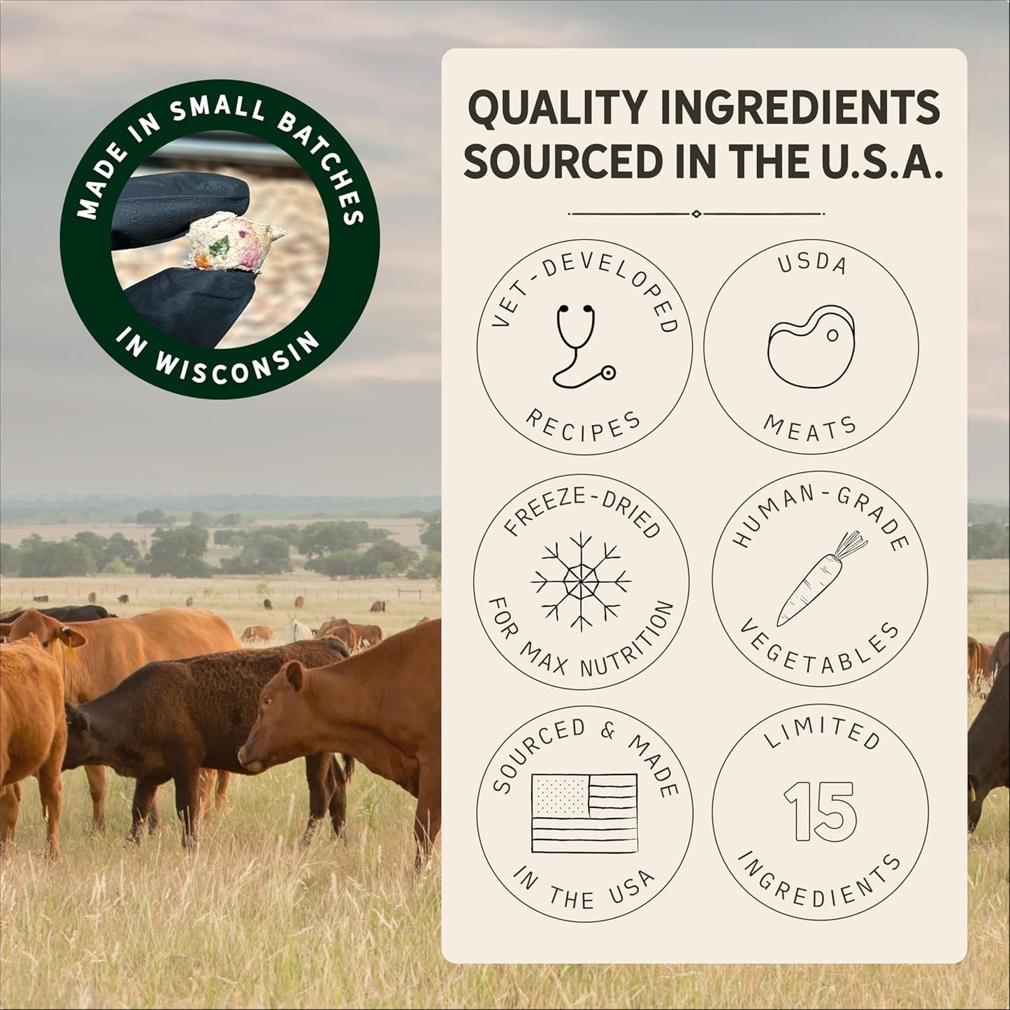 Tally's Ranch Freeze-Dried Raw Beef Dog Food – 2lb Bag – High-Protein, Vet-Formulated, All-Natural, Complete & Balanced – Made in USA – Whole Food Ingredients