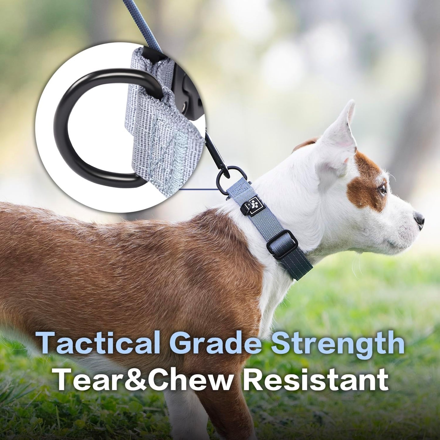 CLEPAWS Reflective Dog Collars for X-Large Dogs, Heavy Duty Tactical Dog Collar with Metal Buckle, Durable Pet Collar Quick Release, Reinforced Nylon No Pull Dog Collar (Horizon, XL)