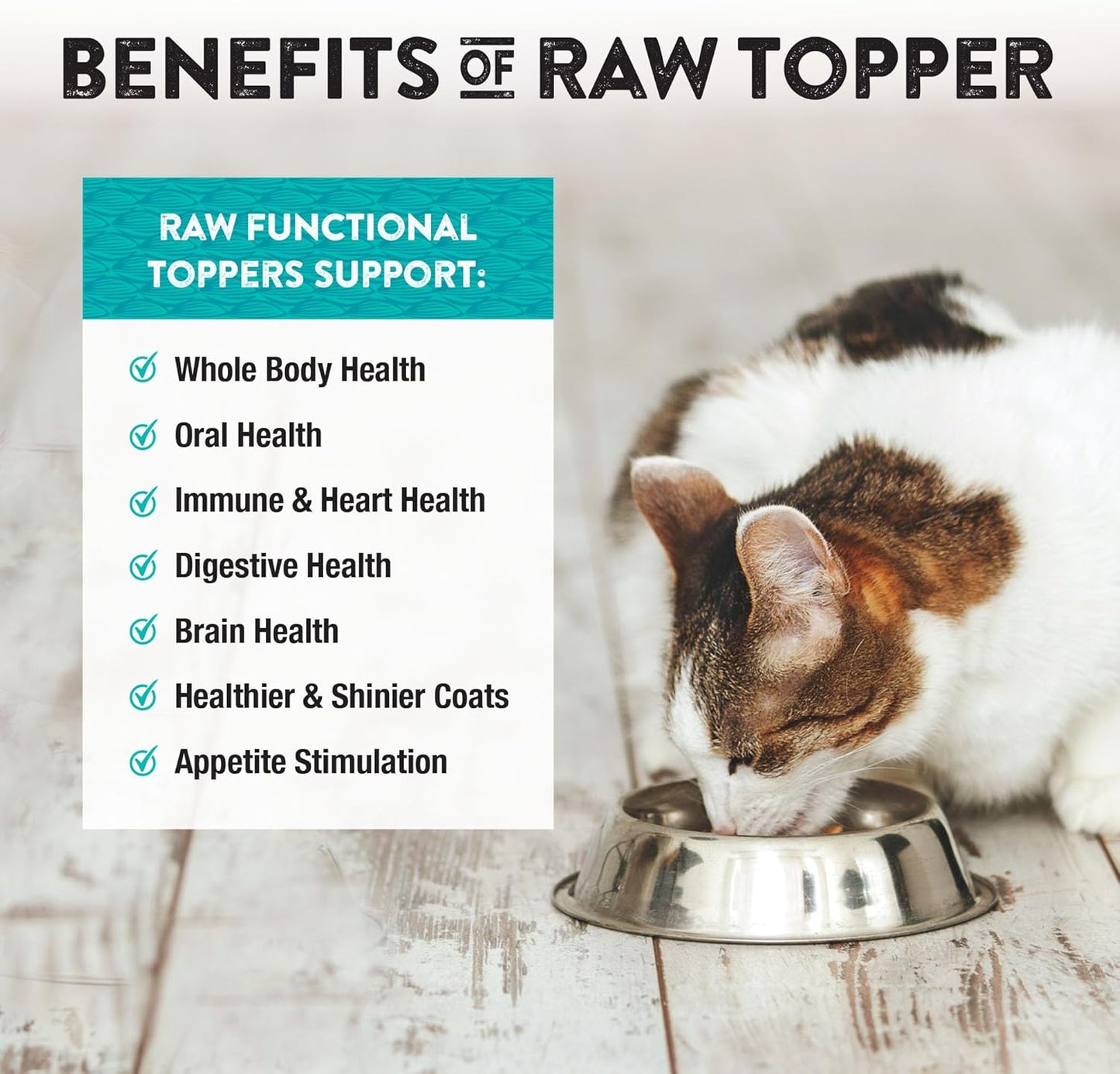 Northwest Naturals Freeze-Dried Chicken Breast with Green Lipped Mussels - Functional Topper - for Dogs and Cats - Healthy, Limited, Human Grade Ingredients, All Natural, Made in USA, 5 Oz (Pack of 1)