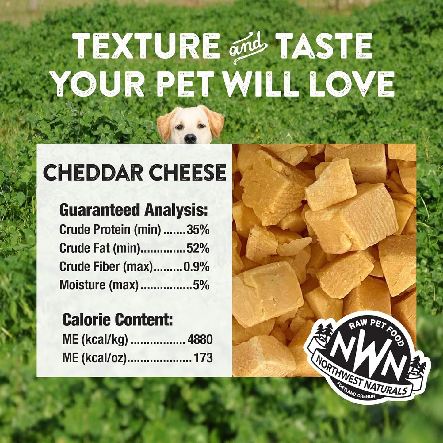 Northwest Naturals Raw Rewards Freeze-Dried Cheddar Cheese Treats for Dogs and Cats - Bite-Sized Pieces - Healthy, 1 Ingredient, Human Grade Ingredients, Natural, Proudly Made in USA, 6 Oz (Pack of 3)